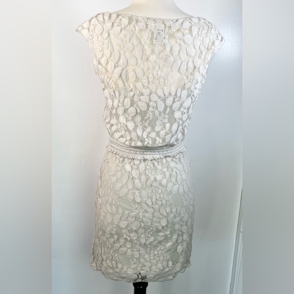 MAX STUDIO ~ Delicate Grey Dress with Sheer Leaf Woven Overlay ~ Size XS - Picture 5 of 6